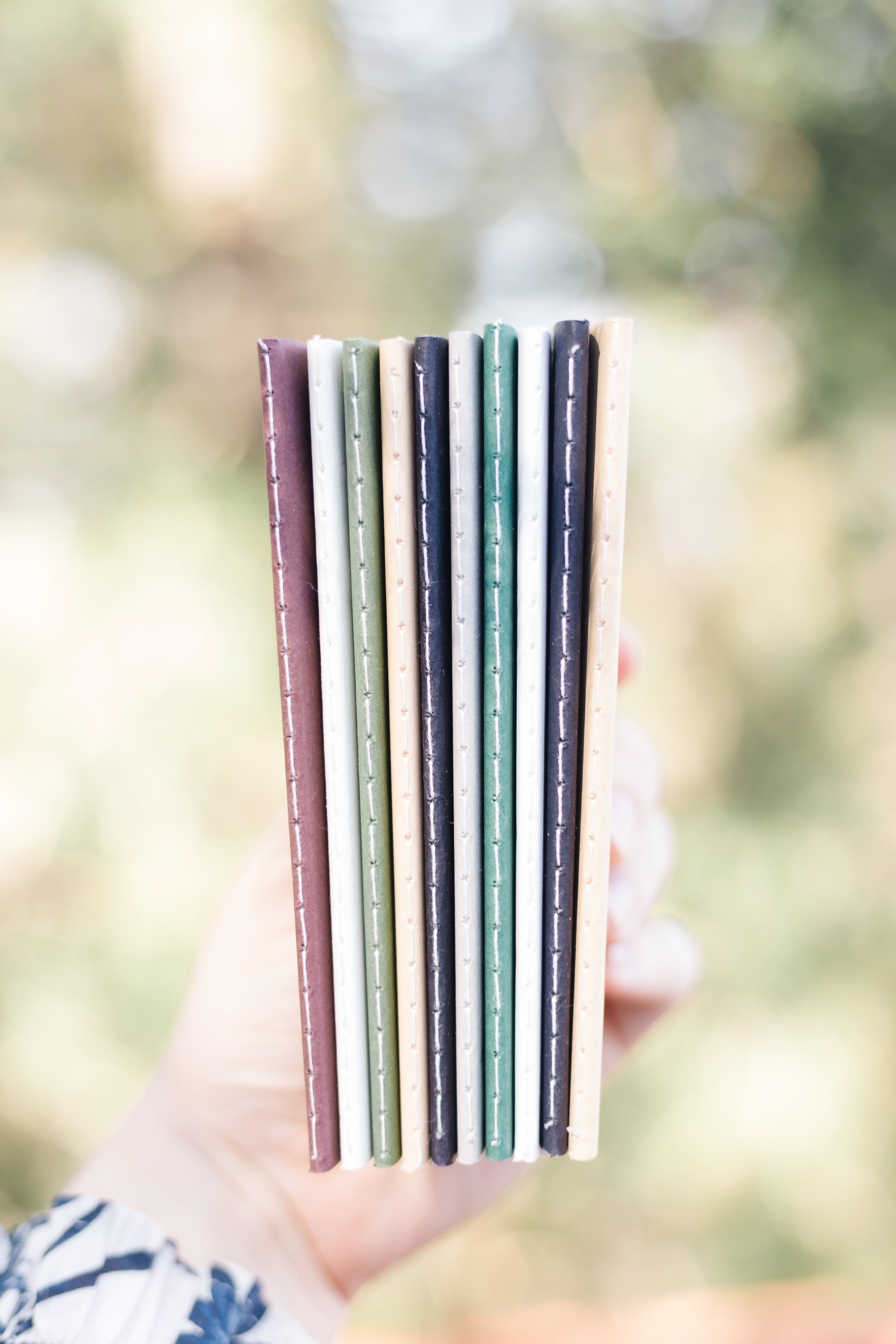 Mushroom Trio Mini Saddle Stitch Notebook